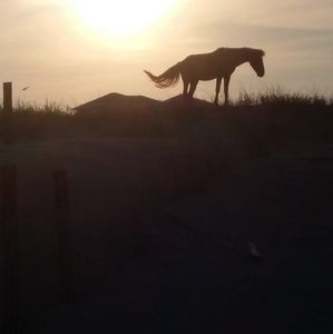 Meet your Posher, Phyllis